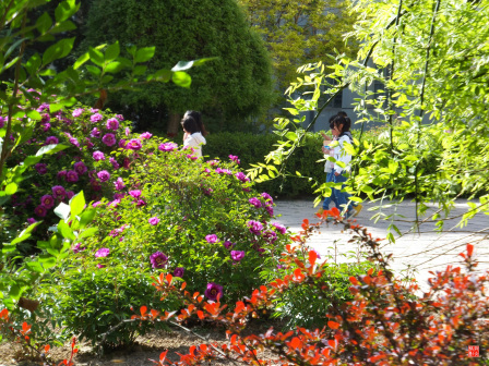 宁夏师范大学老校区校园掠影