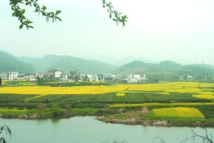 南陵乡村风景