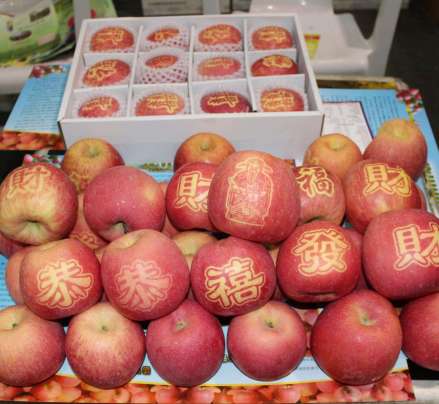 庆阳苹果