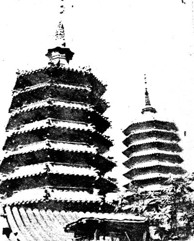 庆寿寺双塔