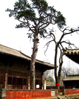 阁院寺掠影
