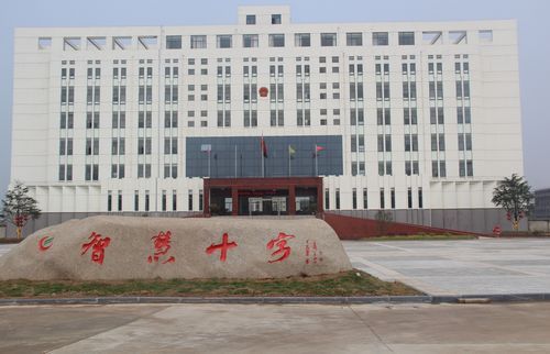 十字镇政府大楼