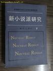新小说