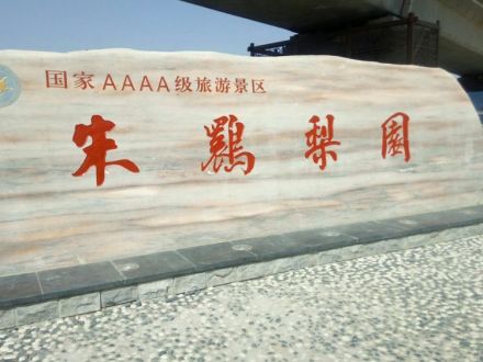 朱鹮梨园景区