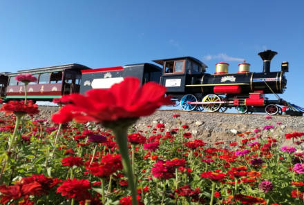 防川花海