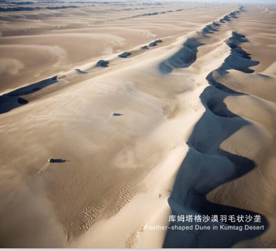库姆塔格沙漠羽毛状沙垄