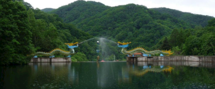 白鸡腰森林公园