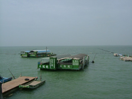 七股潟湖