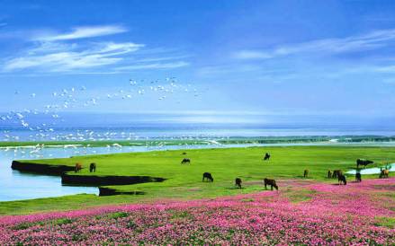 鄱阳湖国家湿地公园