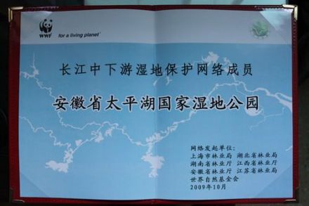 黄山太平湖荣誉