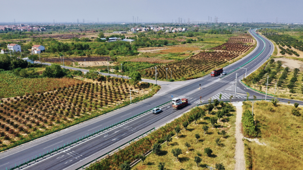 新洲交通线路