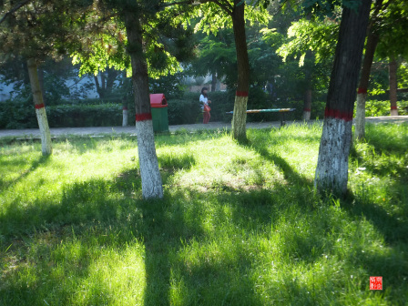 宁夏师范大学老校区校园掠影