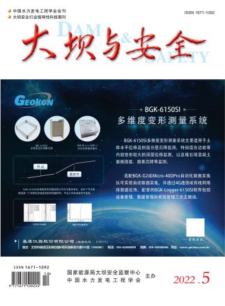《大坝与安全》