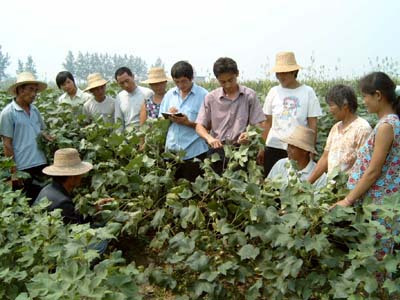 种棉防虫