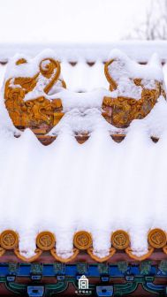北京故宫雪景图