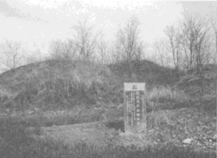 防山墓群4号墓