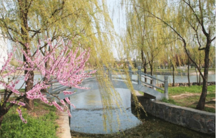 校园风景