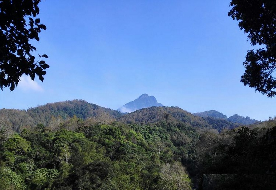 五指山