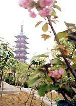 光福塔