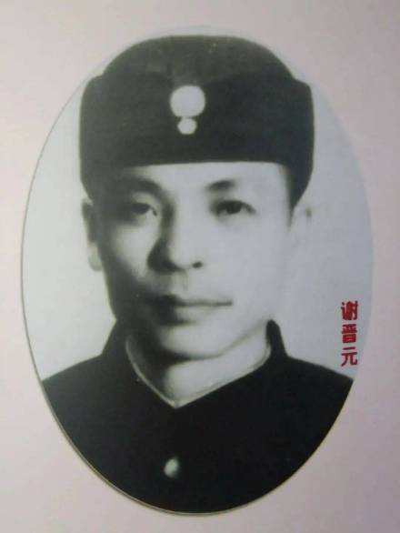 谢晋元画像