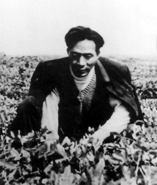 焦裕禄在田间劳动