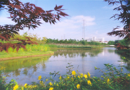 景观
