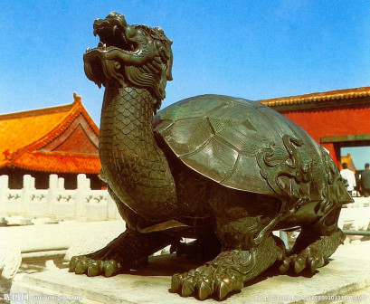龙龟