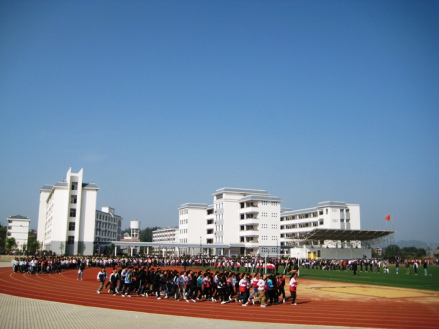 龙山区