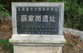 薛家岗遗址