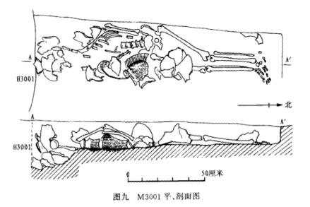 M3001