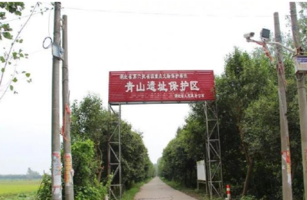 青山遗址