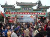 热闹张公庙会