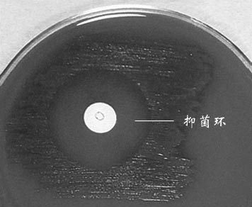 奥普托欣（Optochin）试验