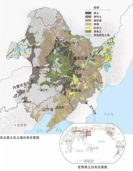 黑土地分布 