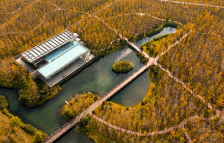 银杏天鹅湖景区