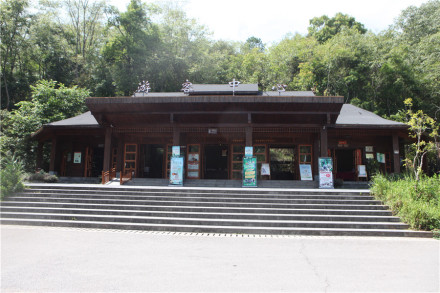 云南太阳河国家森林公园