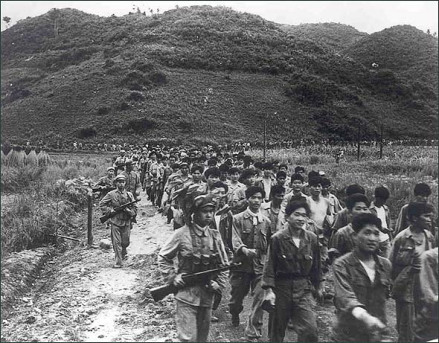 1953年夏季反击战