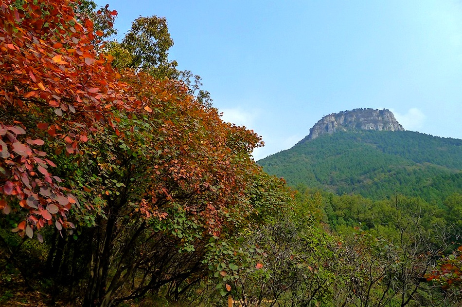 抱犊崮山区植被状态