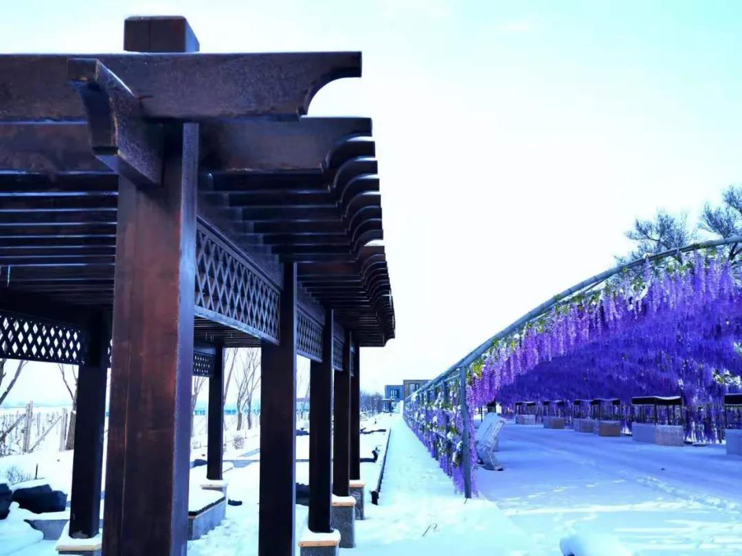 乌苏市苏里坊田园综合体