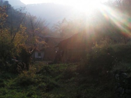 安陆风景