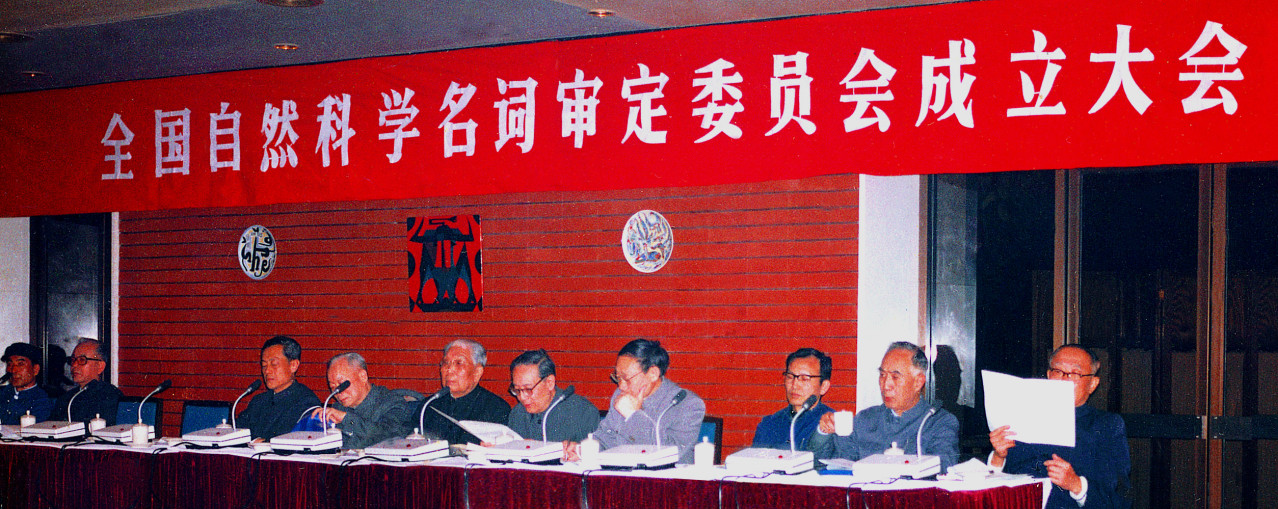 全国名词委成立大会