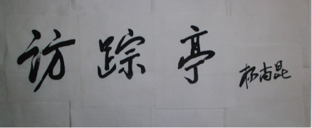 杨尚昆题词