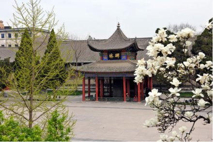 碑林