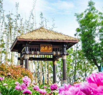植物园牡丹园