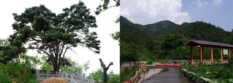 山叶口景区