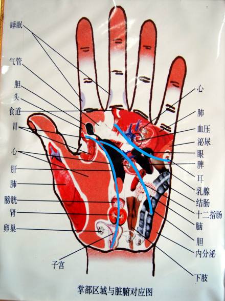 《四部医典》医学唐卡 