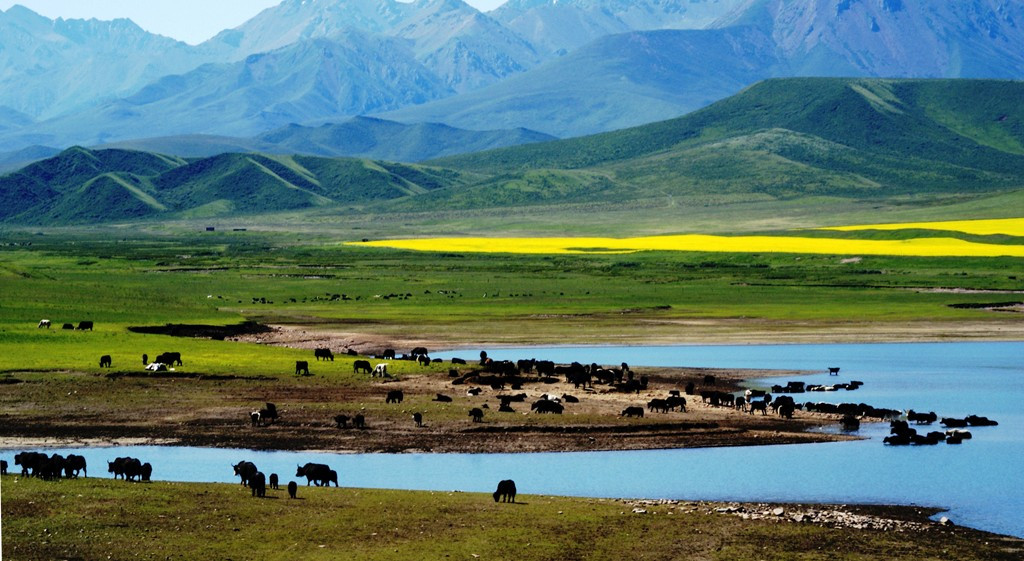 焉支山南侧大马营滩