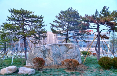 泰山石