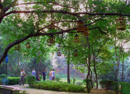 公园早晨