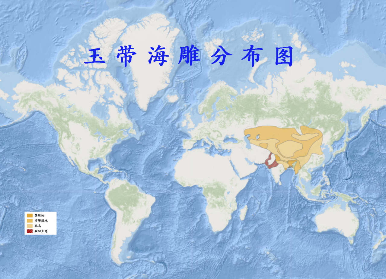 玉带海雕分布图 